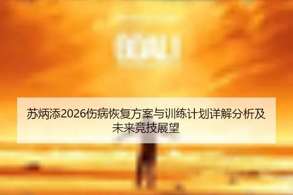 su-bing-tian-shang-bing-hui-fu-fang-an-yu-xun-lian-ji-hua-xiang-jie-fen-xi-ji-wei-lai-jing-ji-zhan-wang-2-977.jpg